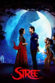 Stree (2018) Hindi 480p, 720p & 1080p (Dolby 5.1)